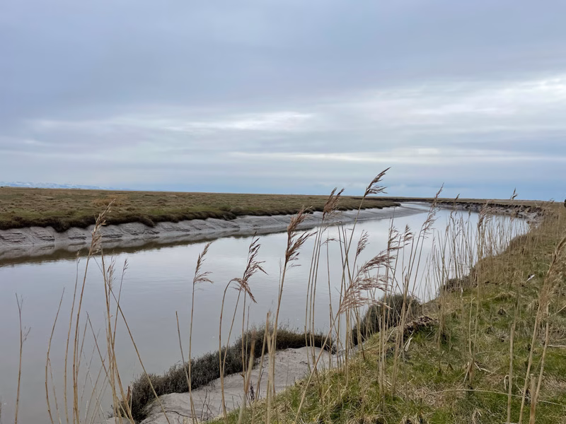 Merse and river on the Solway coast