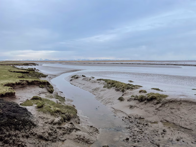 Saltmarshes on the Solway in Dumfries & Galloway