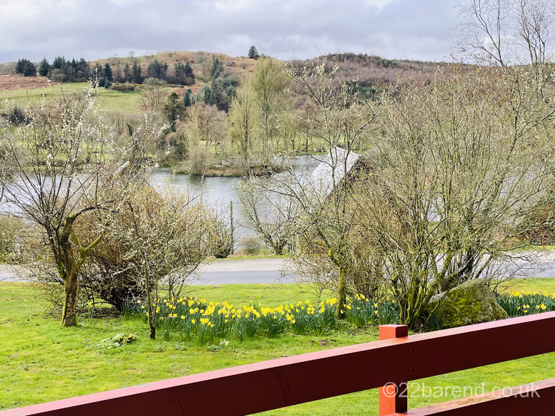 Spring morning view over Barend Loch from the private timber balcony of Serenity 22, featuring bright yellow daffodils and a calm water reflection
