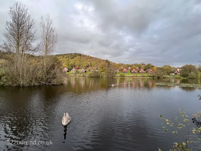 A juvenile swan swims on the calm waters of Barend Loch, with a row of wooden A-frame holiday lodges in the golden autumn hillside under a dramatic, cloudy sky.