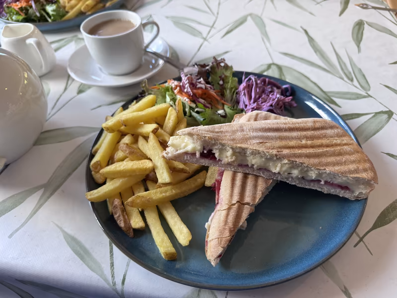A toasted cranberry and brie panini cut in half, served with golden fries, a side salad, coleslaw, and a cup of tea on a leaf-patterned tablecloth at Caddie's Cove Bistro.