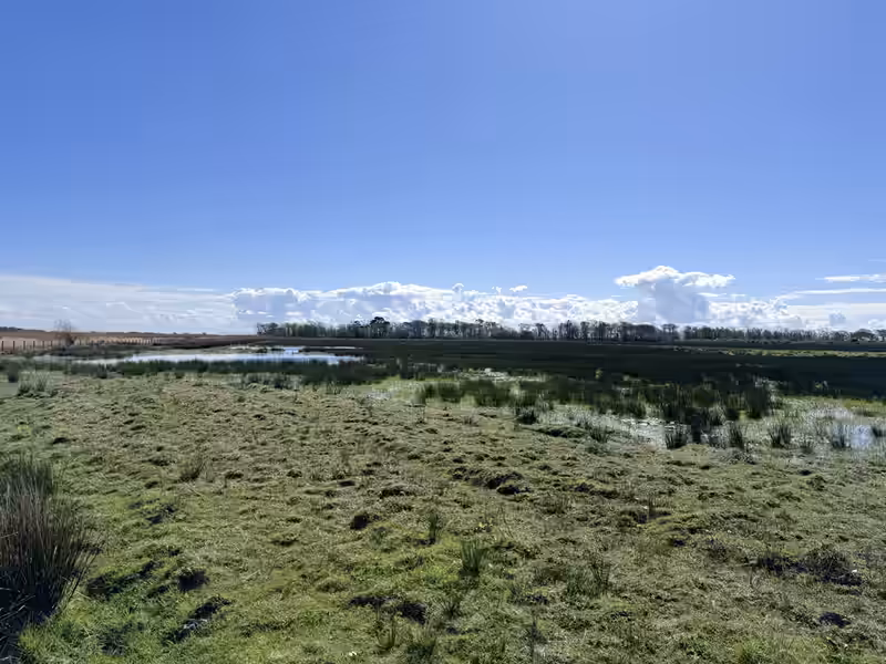 A flat walking path goes through open wetlands and wild grass fields at RSPB Mersehead reserve.